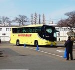 東バス協・警視庁、第2回ドライバー安全運転コンテスト　団体優勝は「はとバス」