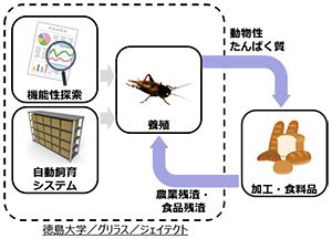 ジェイテクト、食用コオロギ事業化　徳島大ベンチャーと提携