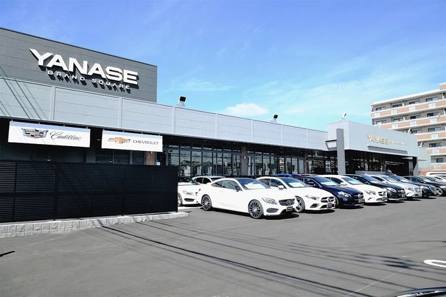 ヤナセ 中古車事業を強化 国産車の品ぞろえも拡大 一般社団法人 日本自動車会議所