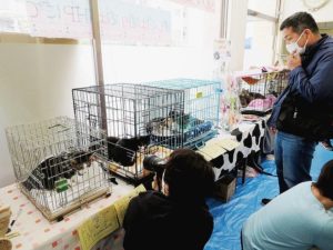 マツダ親和会「ワンミャツダクラブ」　保護犬・猫の初譲渡会