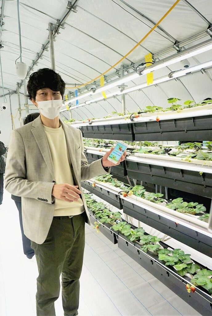 豊田合成　「低炭素農業」でイチゴ、三重・いなべ工場で無農薬栽培