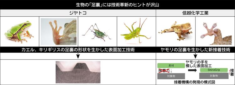 サプライヤーで広がる「生物模倣」技術　ＥＶ・自動運転部品に活用