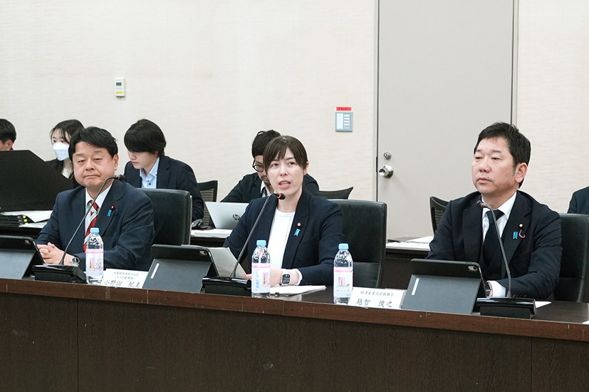 政府、AI・半導体の投資拡大へロードマップ策定　今春めどにとりまとめ　WGが初回会合